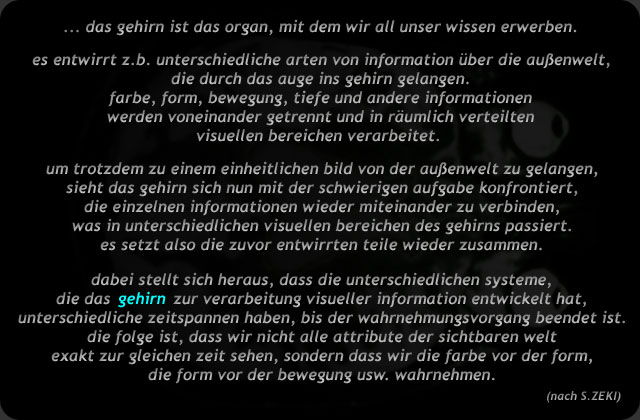 Text zum Wortbild Gehirn